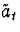 $\tilde{a}_t$