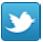 Twitter Login