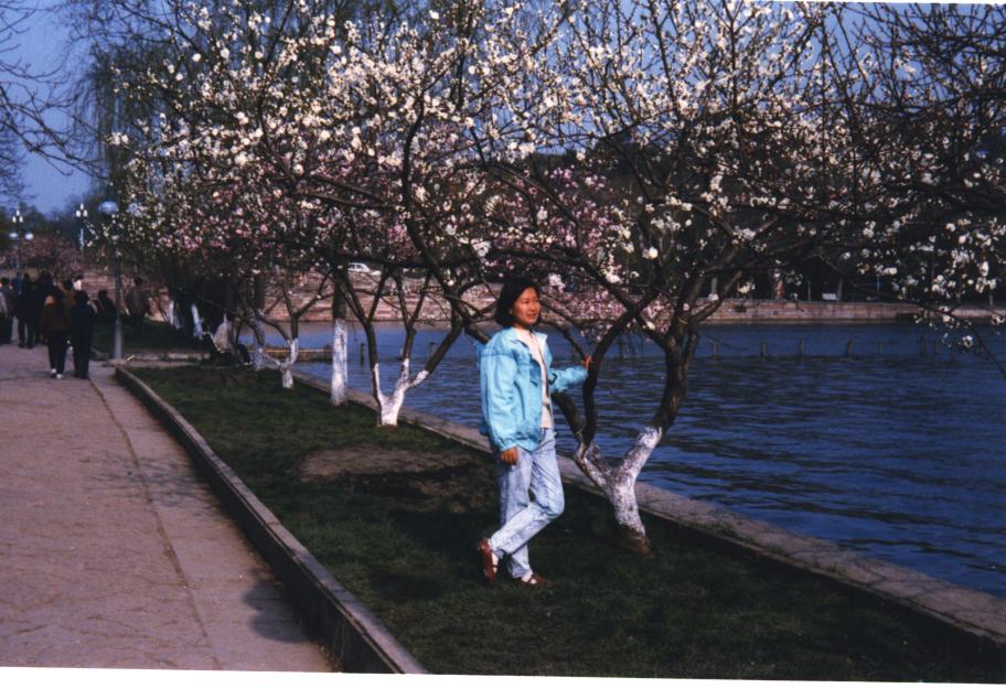 Spring in paradise