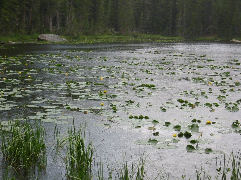 Nymph Lake