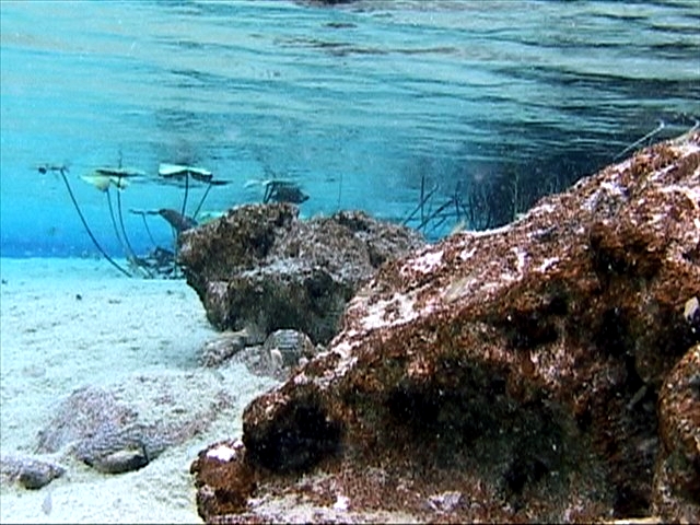 1938555.jpg